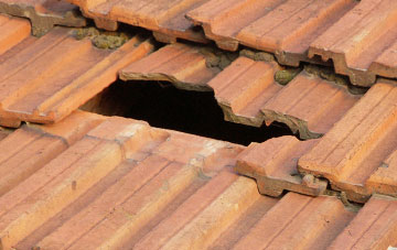 roof repair Odam Barton, Devon